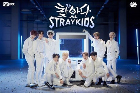 找到了StrayKids